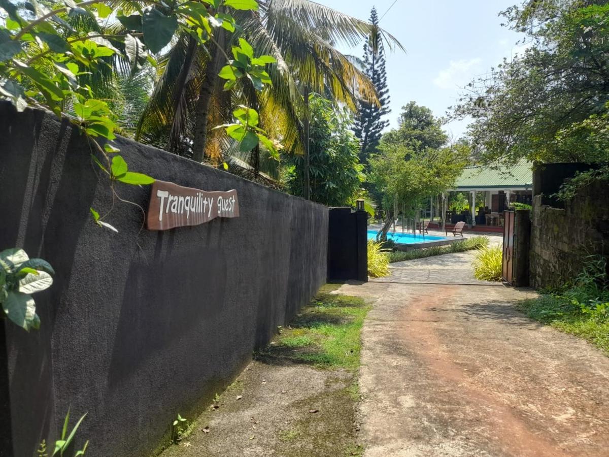 Tranquility Guest House Hikkaduwa Kültér fotó