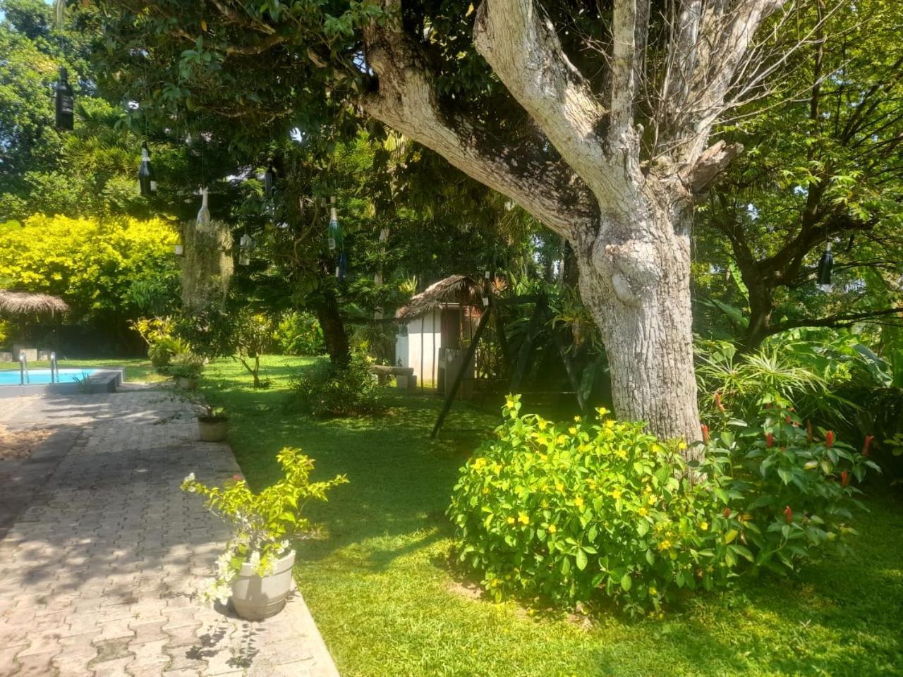 Tranquility Guest House Hikkaduwa Kültér fotó
