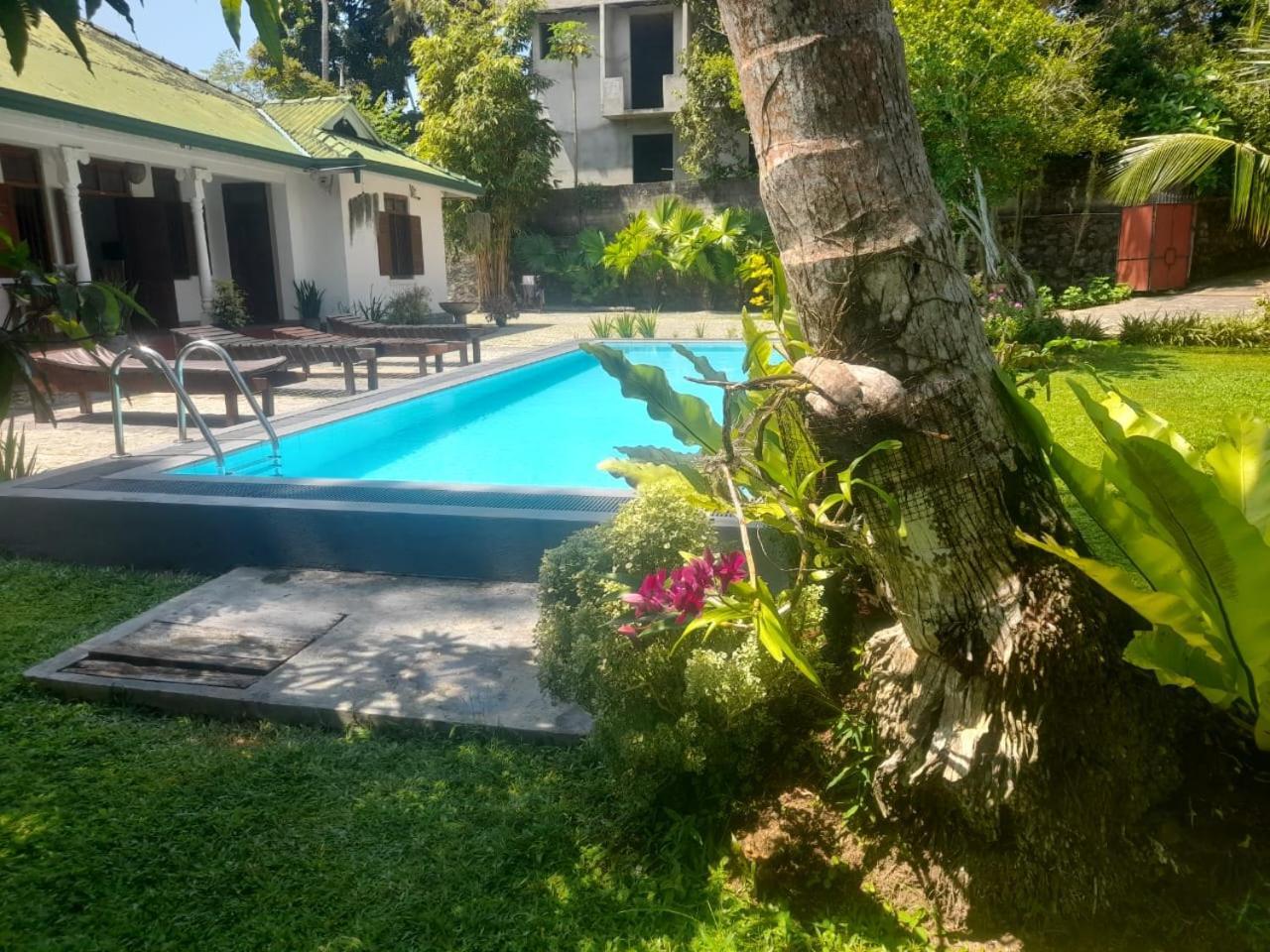 Tranquility Guest House Hikkaduwa Kültér fotó
